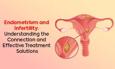 Endometrium and Infertility: Understanding the Connection and Effective Treatment Solutions | KIC Delfinium