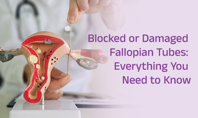 Blocked or Damaged Fallopian Tubes: Everything You Need to Know