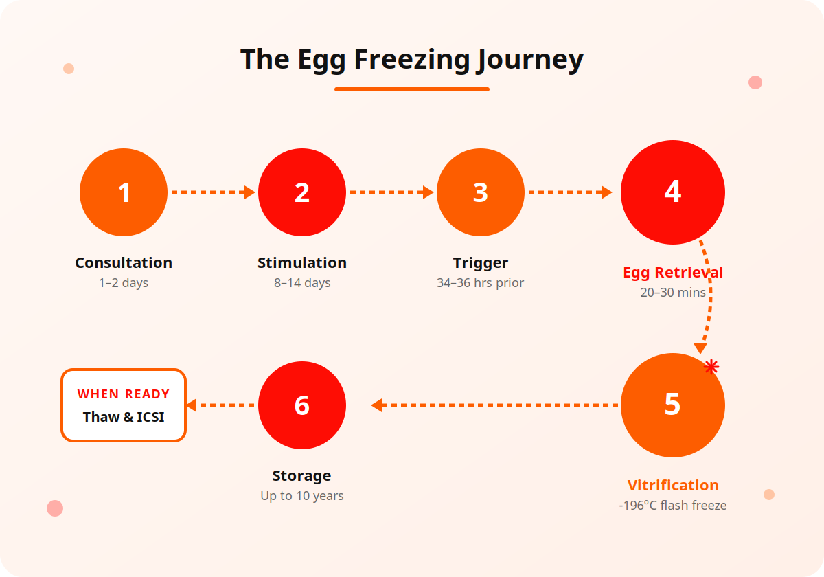 The 6 steps of egg freezing