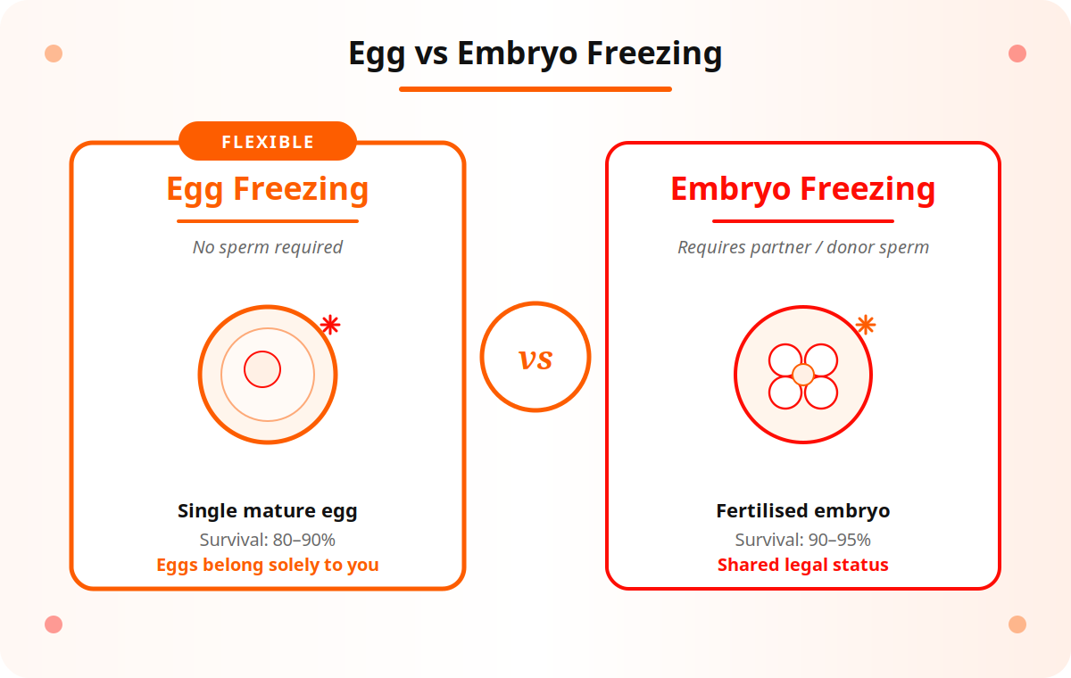 Egg vs Embryo Freezing comparison