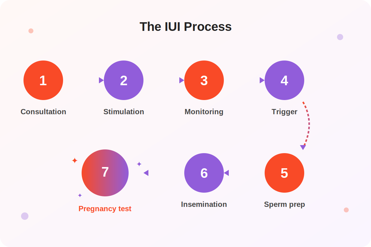 The 7 steps of IUI treatment